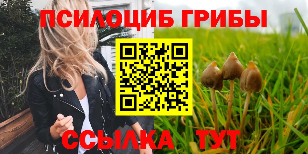 Псилоцибиновые грибы мухоморы Красноярск