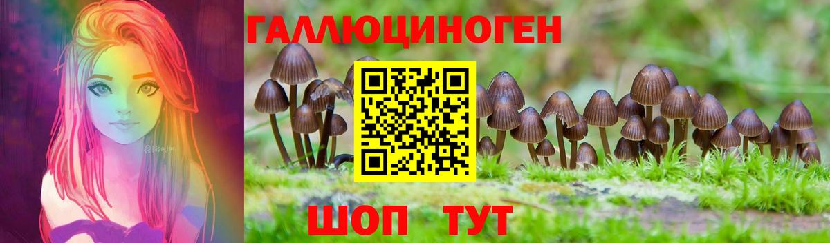 Красноярск  Галлюциногенные грибы Magic Shrooms  Вход с VPN  Псилоцибиновые грибы Psilocybe 